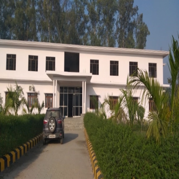 DMS School